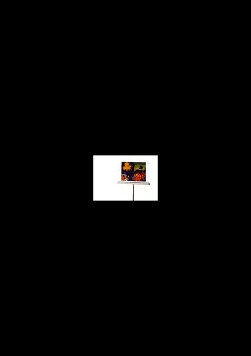 不銹鋼標示架-T字形