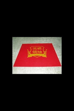 潤地墊(刮泥地墊)