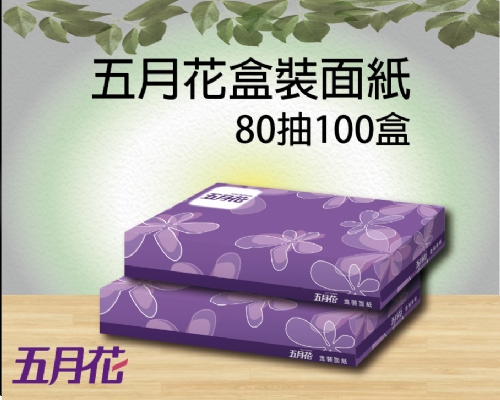 五月花盒裝面紙80抽100盒
