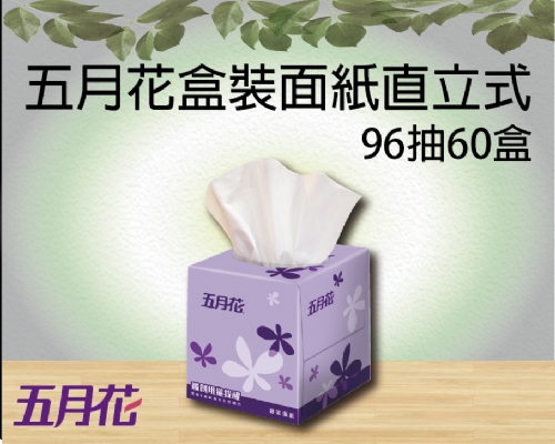 五月花盒裝面紙直立式96抽60盒