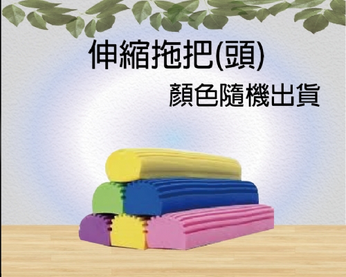 伸縮拖把(頭)