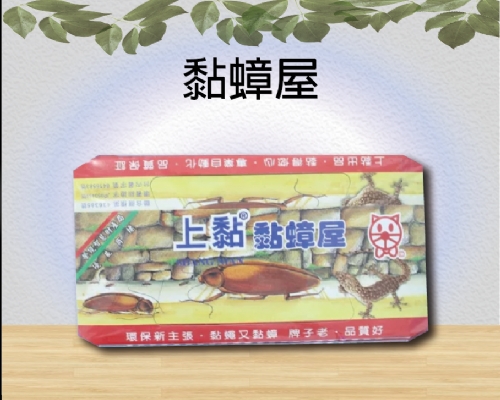 黏蟑屋