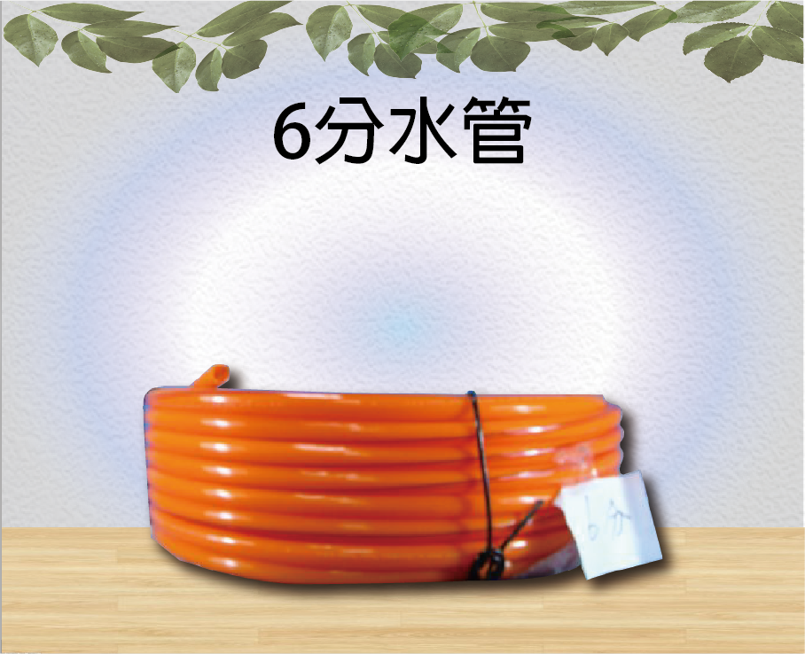 6分水管