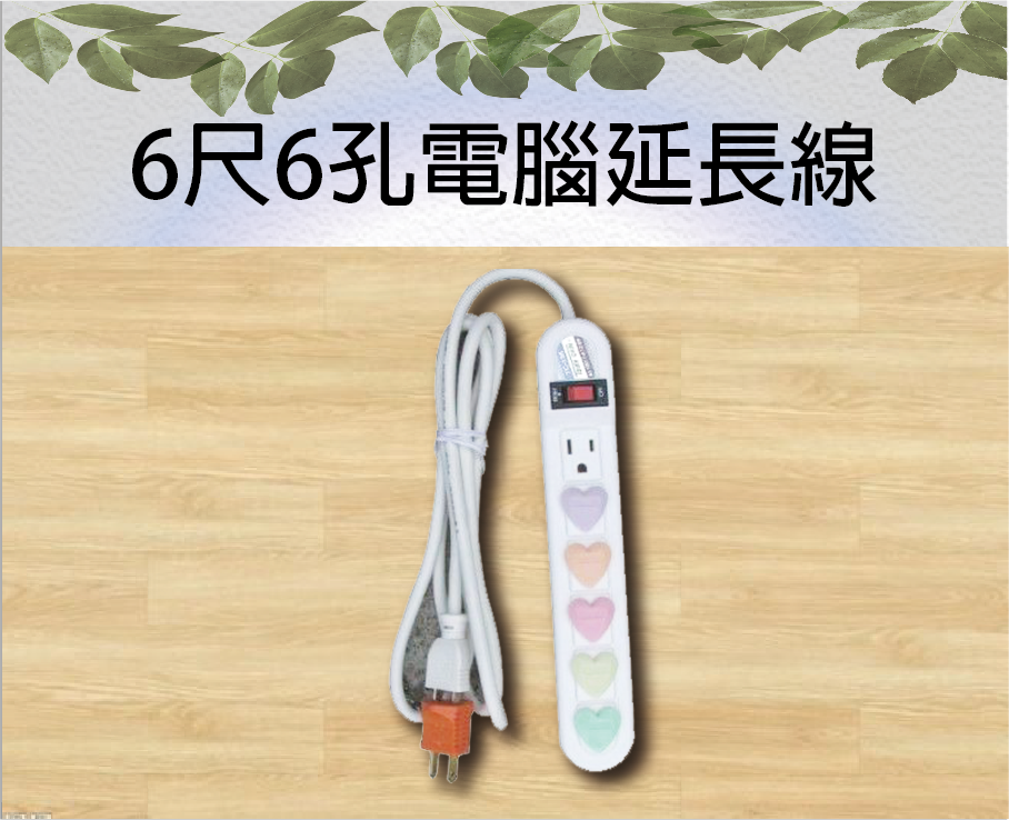 6尺6孔電腦延長線
