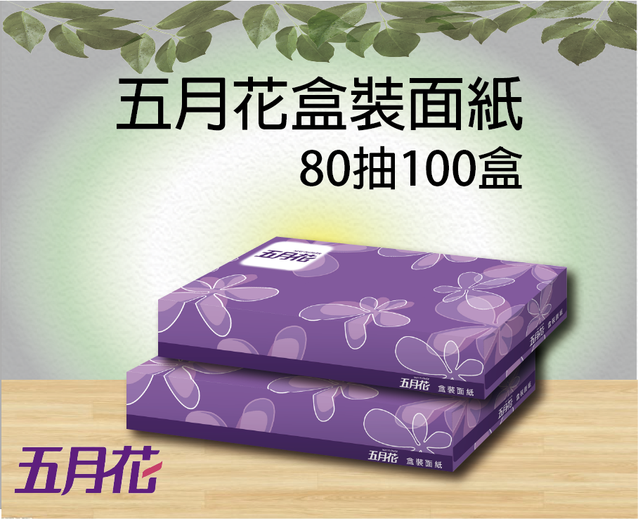 五月花盒裝面紙80抽100盒