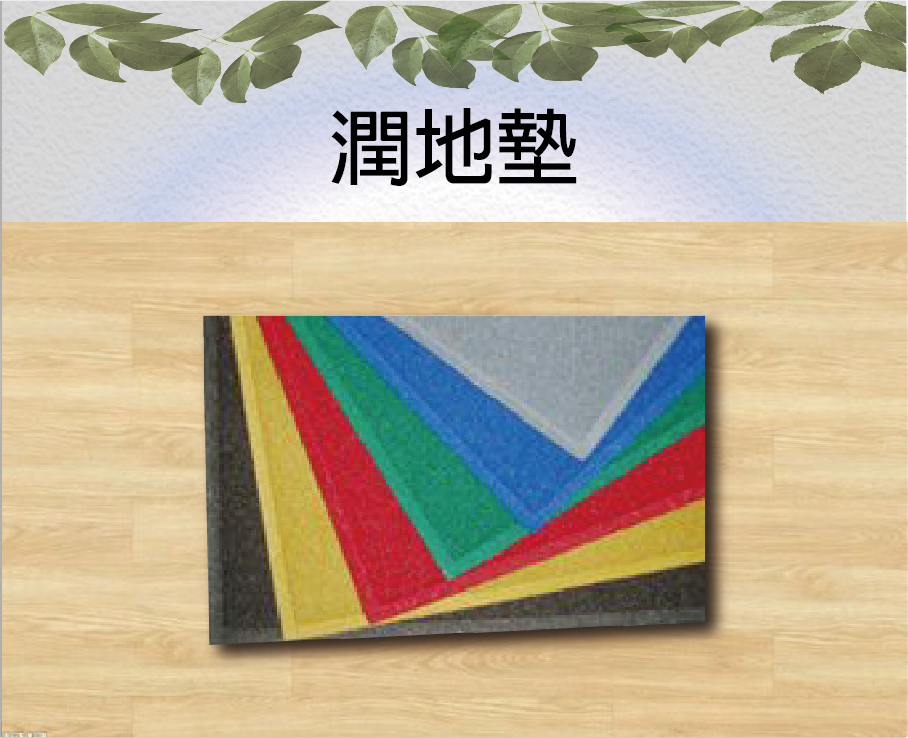 潤地墊(刮泥地墊)